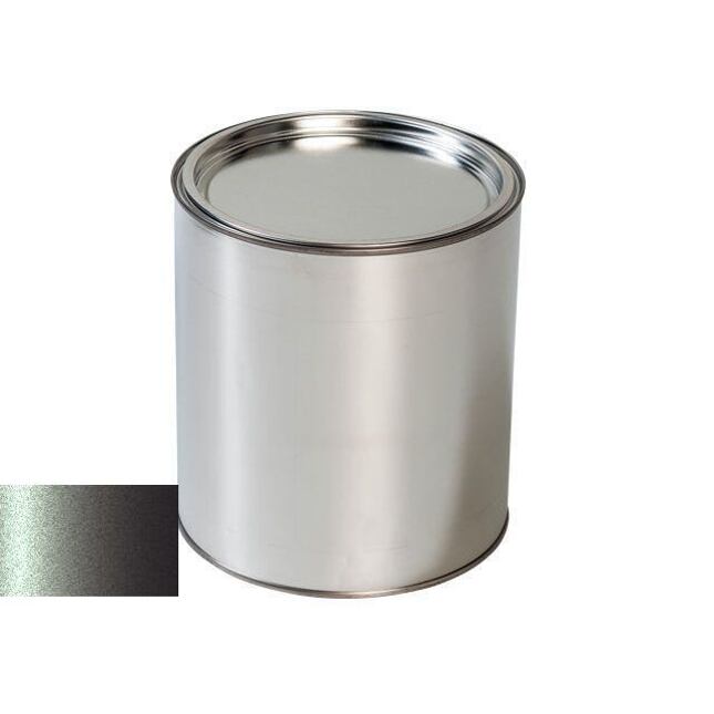 Autolak do pistole Dacia 603 GRIS HOLOGRAMME